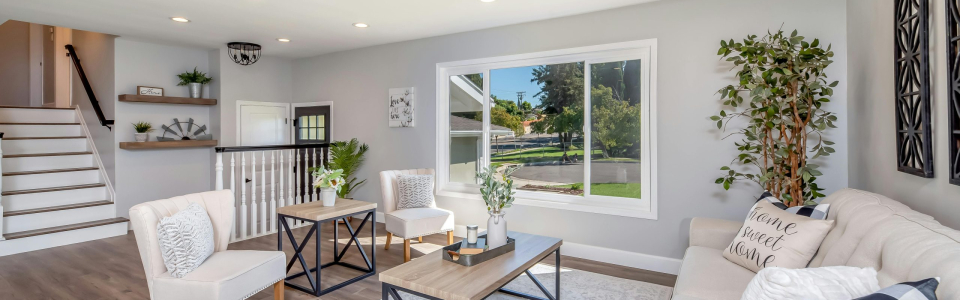 pexels-itsterrymag-2988860